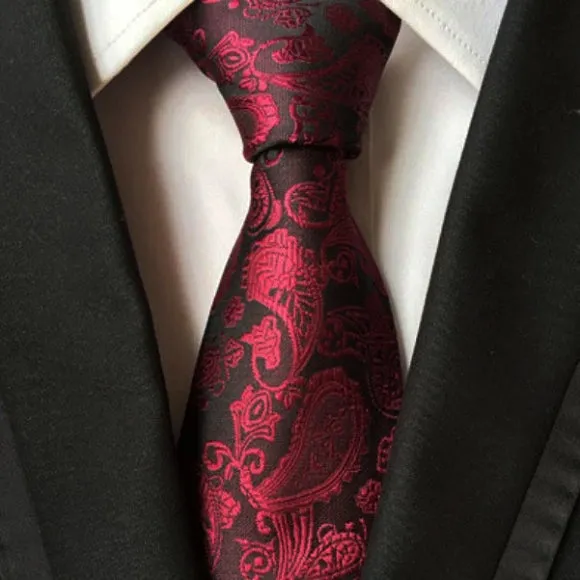 Classy Men Simple Burgundy Paisley Tie