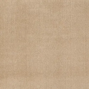 Hollis Hand-Loomed Carpet, Sand