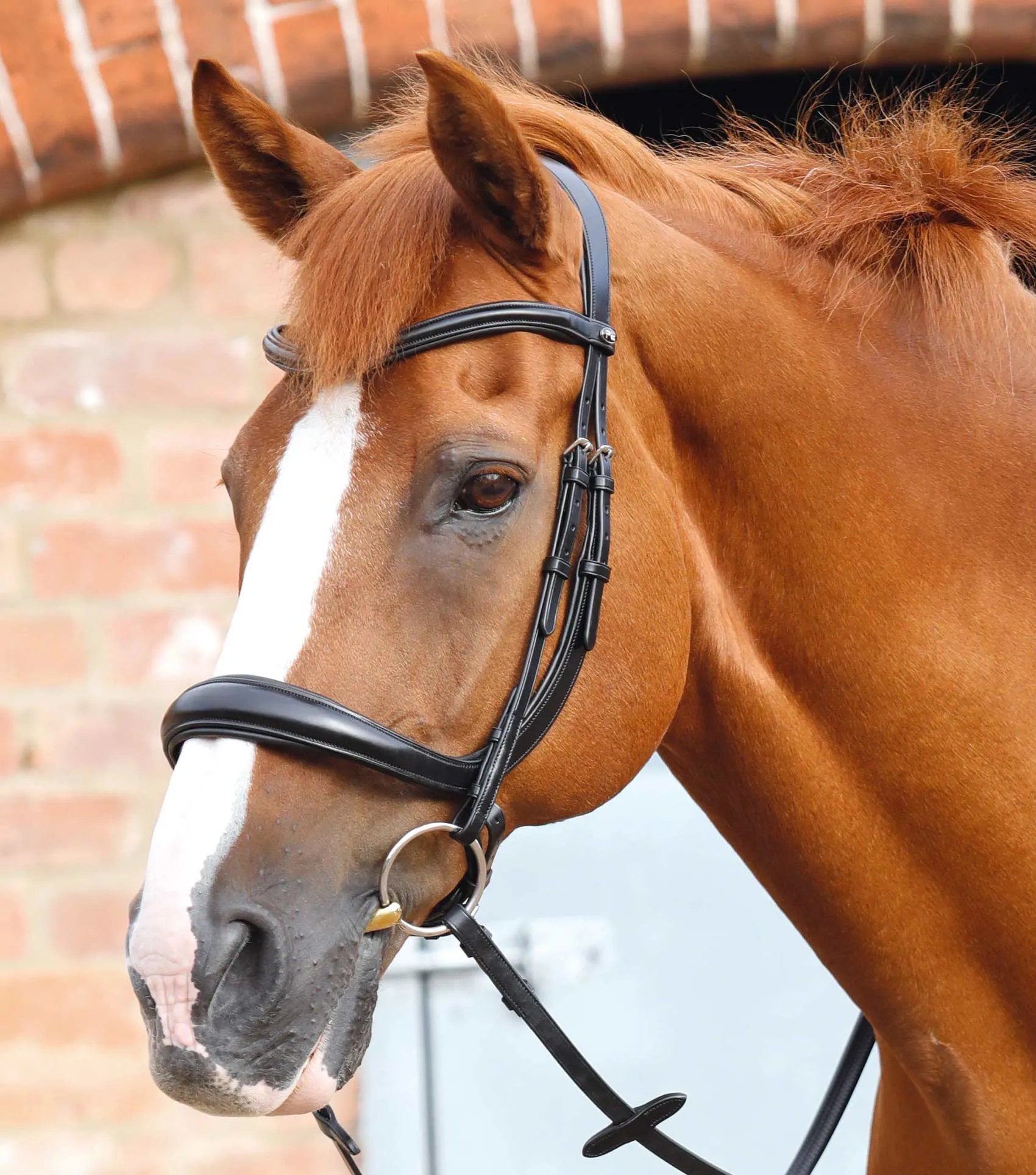 Lambro Anatomic Bridle with Crank Noseband