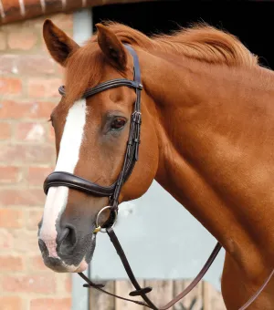 Lambro Anatomic Bridle with Crank Noseband