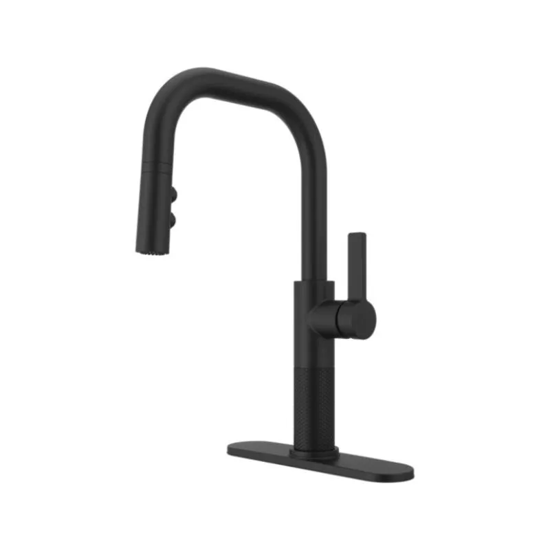 Montay Single-Handle Pull-Down Faucet