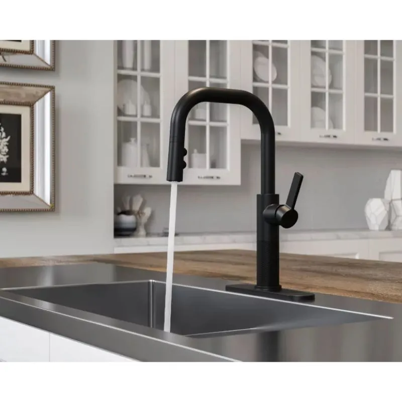 Montay Single-Handle Pull-Down Faucet