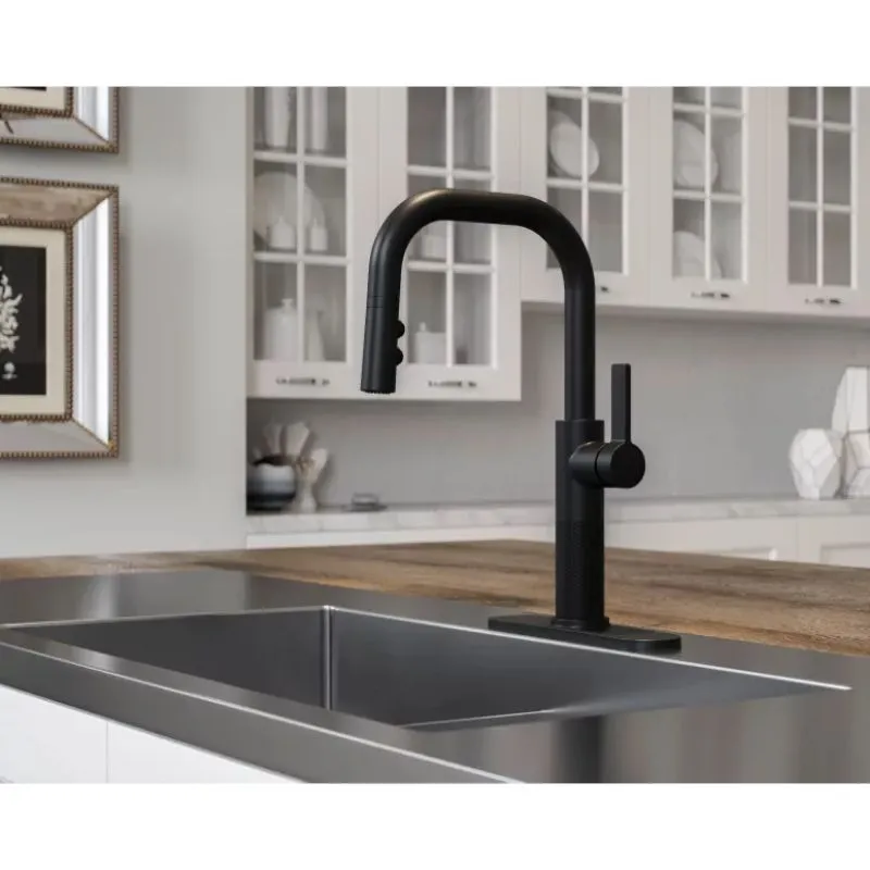 Montay Single-Handle Pull-Down Faucet