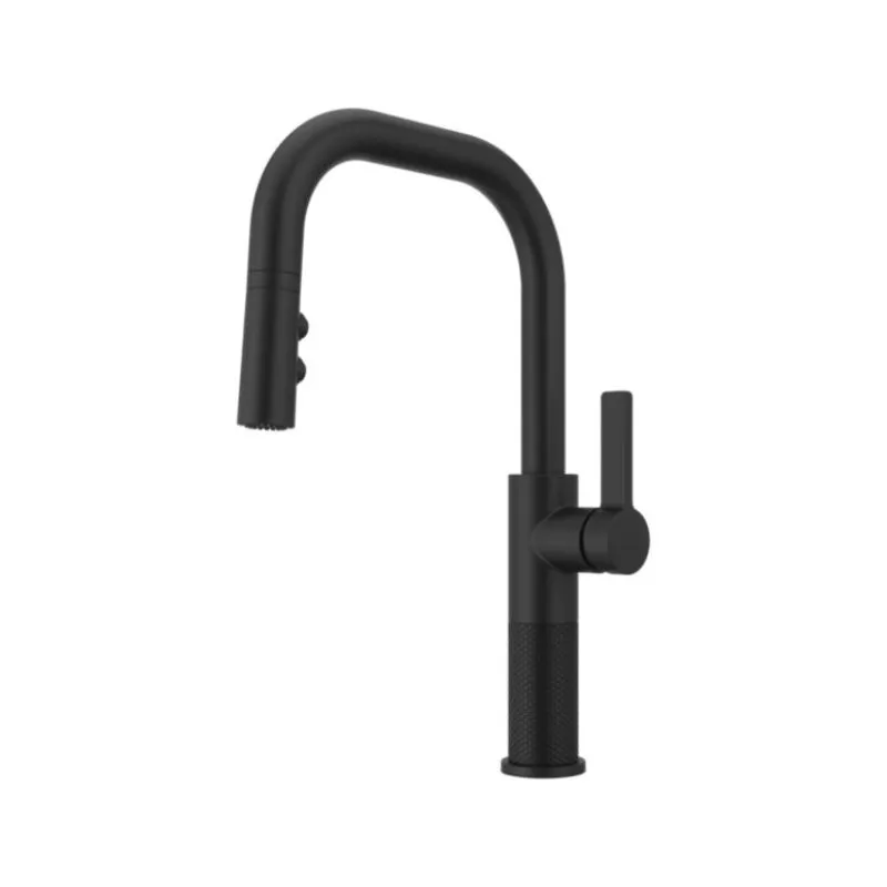 Montay Single-Handle Pull-Down Faucet