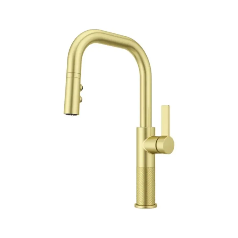 Montay Single-Handle Pull-Down Faucet