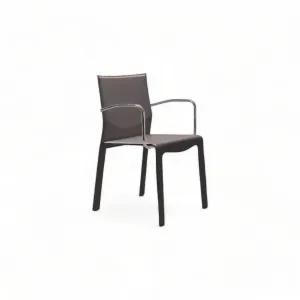 Salieri Dining Armchair (only 2)