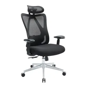 Sweetcrispy High Back Ergonomic Office Chair Adjustable Headrest and Waistrest Mesh Desk chair