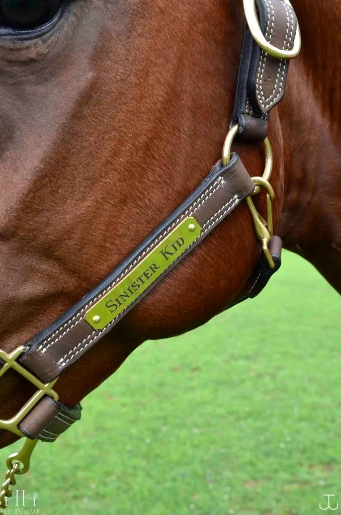 The In Gate New Standard™ Leather Halter - FINAL SALE